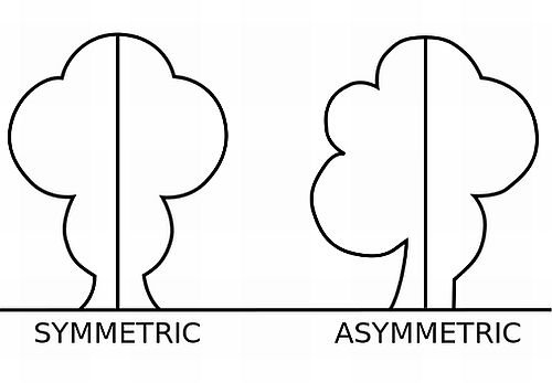 asymmetrical design