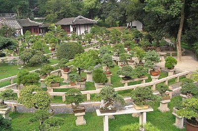 Chinese Gardens at Pagoda Yunyan Ta